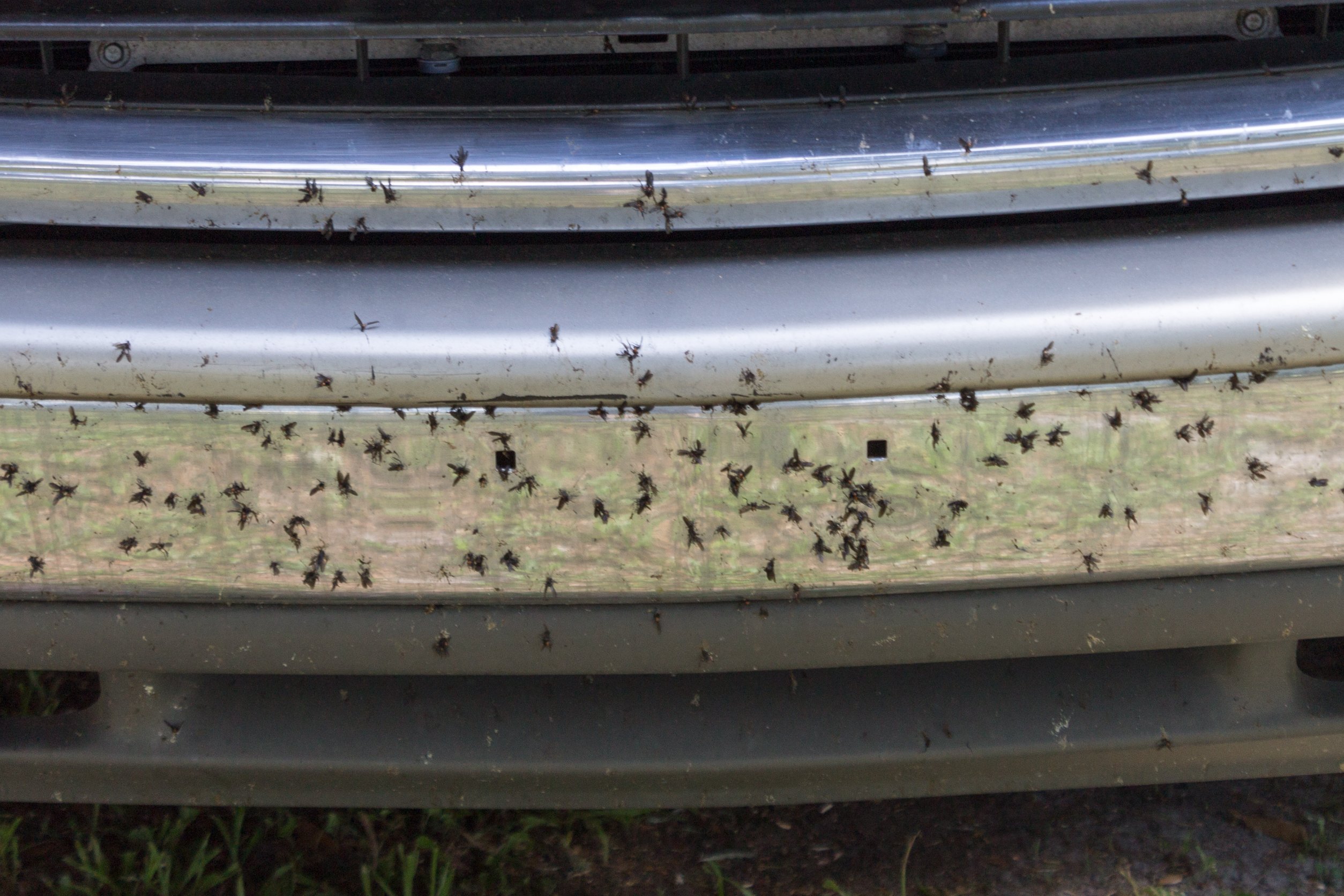 Insektsfjerner best i test